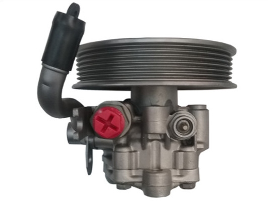 Servopomp Spidan GKNY10080