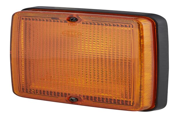 Hella Knipperlicht 2BA 005 200-311