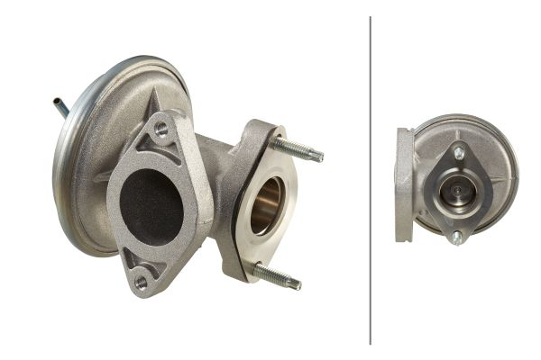 EGR-klep Hella 6NU 010 171-241