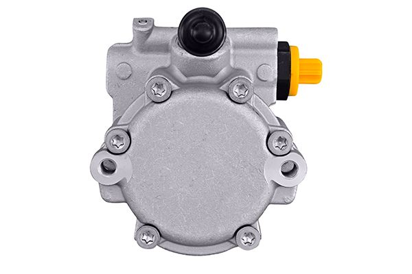 Hella Servopomp 8TL 359 003-081