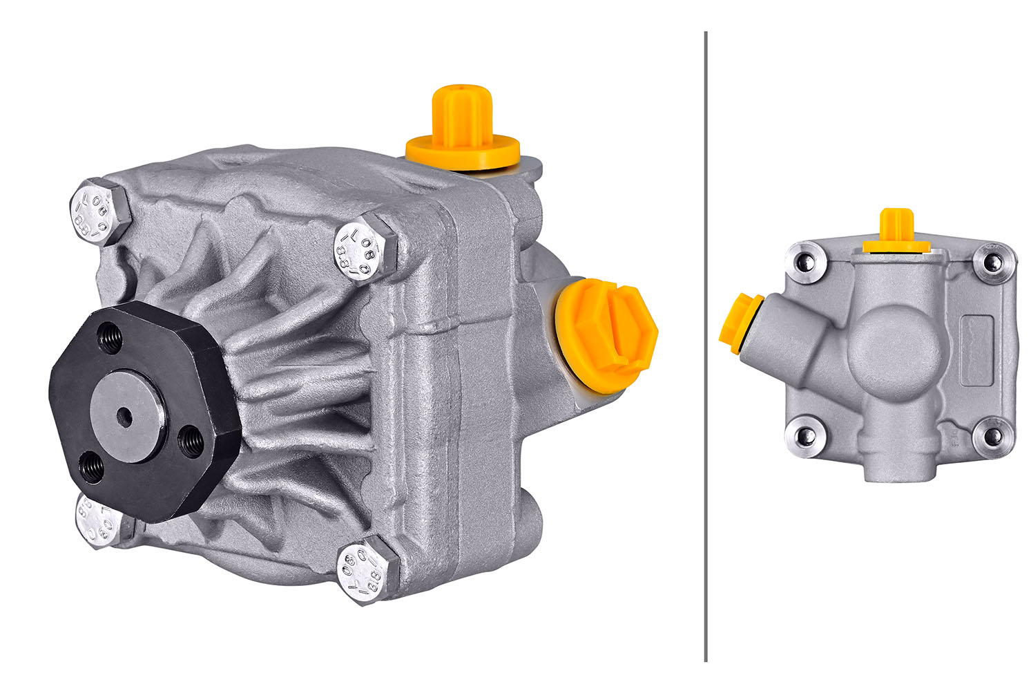 Hella Servopomp 8TL 359 003-301