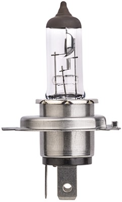Gloeilamp, koplamp Hella 8GJ 007 255-123