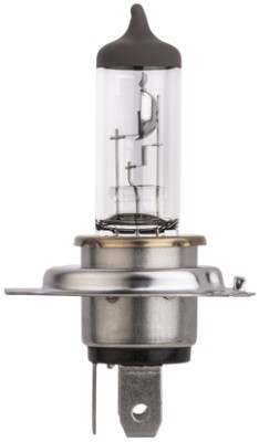 Gloeilamp, verstraler Hella 8GJ 329 393-043