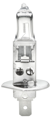 Hella Gloeilamp, bochtenlicht 8GH 242 632-001