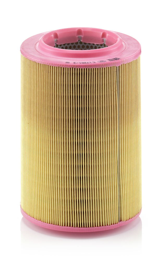 Luchtfilter Mann-Filter C 17 201/3