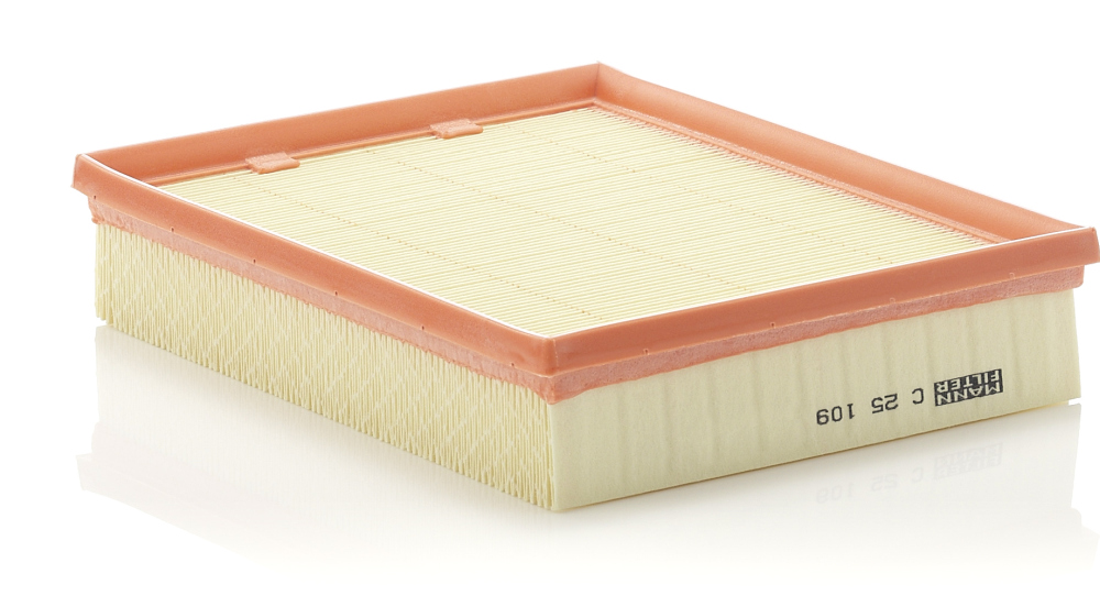 Luchtfilter Mann-Filter C 25 109