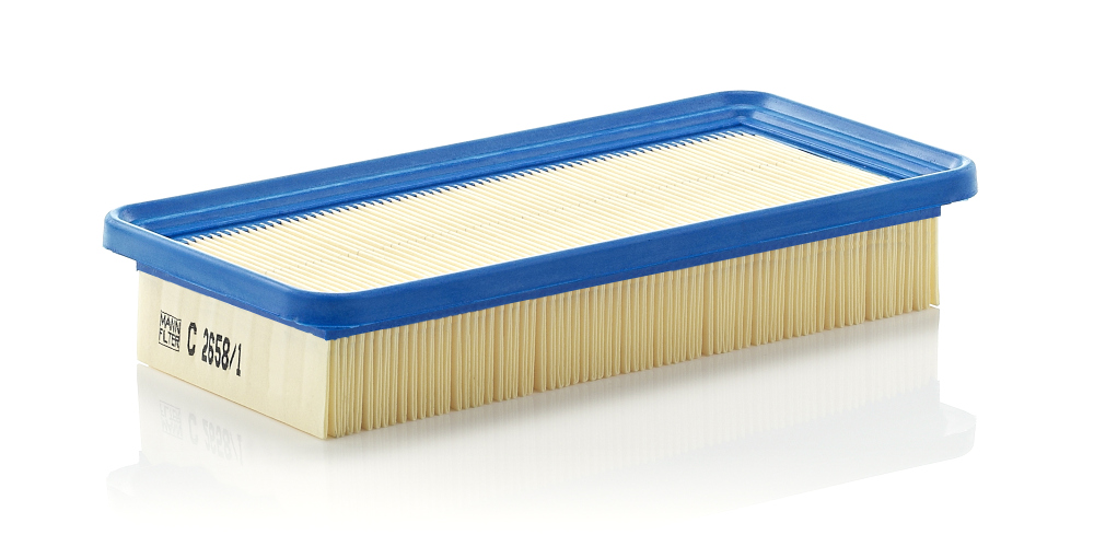 Luchtfilter Mann-Filter C 2658/1