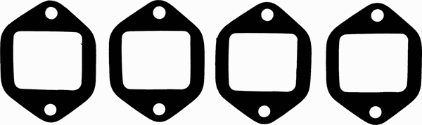 Inlaatspruitstukpakking Reinz 11-53666-01