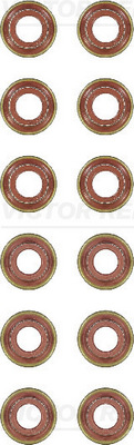 Klepsteeldichting Reinz 12-10001-02