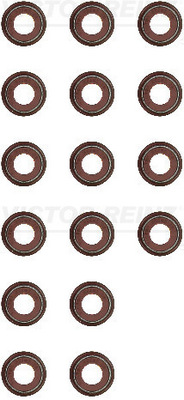 Klepsteeldichting Reinz 12-11005-02
