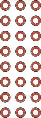 Klepsteeldichting Reinz 12-11326-01