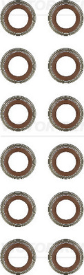 Klepsteeldichting Reinz 12-24312-02