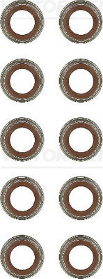 Klepsteeldichting Reinz 12-24312-03