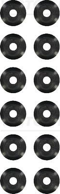Klepsteeldichting Reinz 12-25051-01