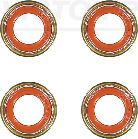 Klepsteeldichting Reinz 12-36004-02