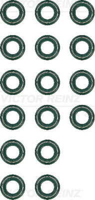 Klepsteeldichting Reinz 12-36416-01