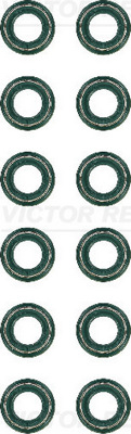 Klepsteeldichting Reinz 12-36416-02