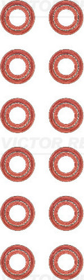 Klepsteeldichting Reinz 12-37054-01