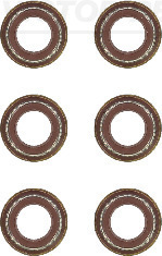 Klepsteeldichting Reinz 12-37794-01