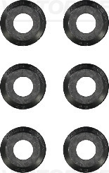 Klepsteeldichting Reinz 12-37797-01