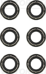 Klepsteeldichting Reinz 12-37798-01