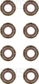 Klepsteeldichting Reinz 12-38487-02