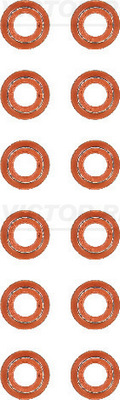 Klepsteeldichting Reinz 12-40217-01