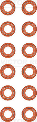 Klepsteeldichting Reinz 12-40218-01