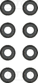 Klepsteeldichting Reinz 12-41218-01