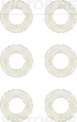 Klepsteeldichting Reinz 12-41954-01