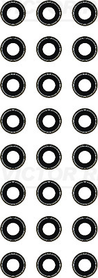 Klepsteeldichting Reinz 12-42546-01