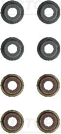 Klepsteeldichting Reinz 12-52806-01