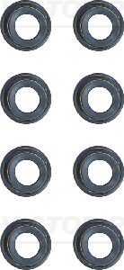 Klepsteeldichting Reinz 12-53034-01