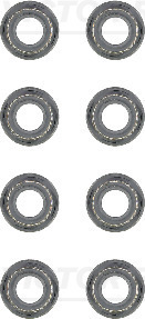 Klepsteeldichting Reinz 12-53204-02