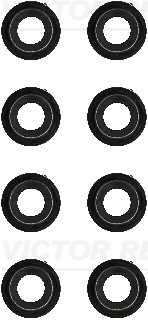 Klepsteeldichting Reinz 12-53672-01