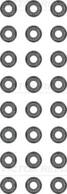Klepsteeldichting Reinz 12-54196-02