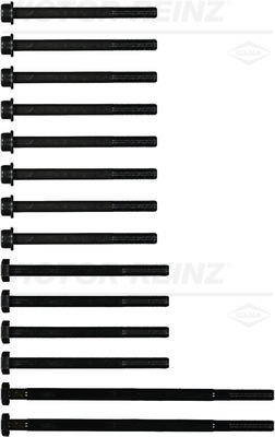 Cilinderkopboutenset Reinz 14-32091-01