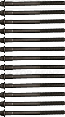 Cilinderkopboutenset Reinz 14-32300-01