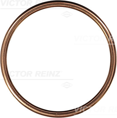 Afdichtring Reinz 40-72101-30