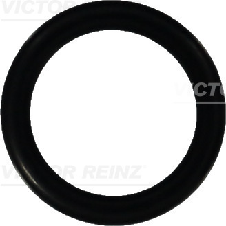 Afdichtring Reinz 40-76052-10