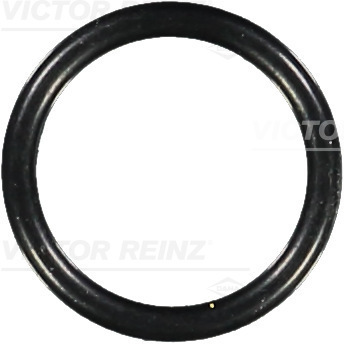 Afdichtring Reinz 40-76058-00