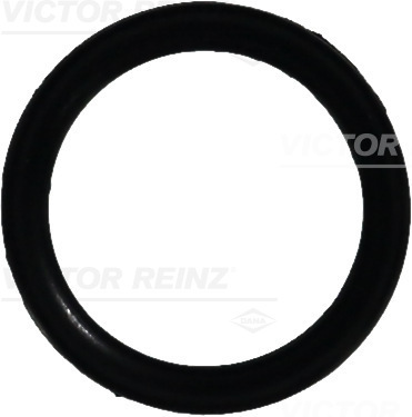 Afdichtring Reinz 40-76064-00