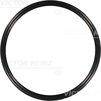 Afdichtring Reinz 40-76131-00
