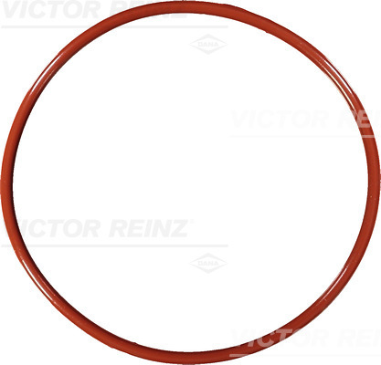 Afdichtring Reinz 40-76167-10
