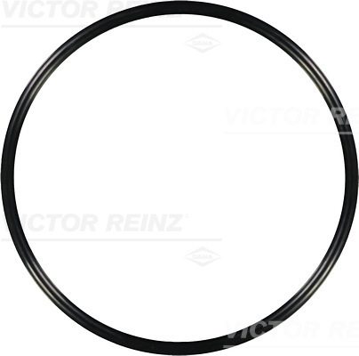 Afdichtring Reinz 40-76314-00