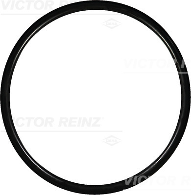 Afdichtring Reinz 40-76384-00