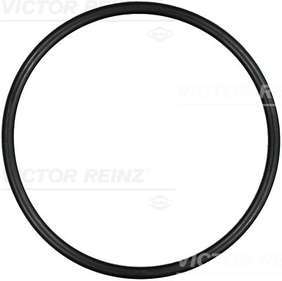Afdichtring Reinz 40-76402-00