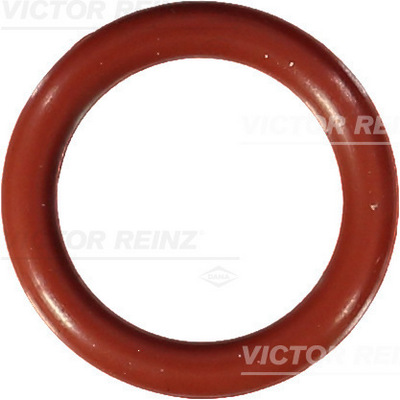 Afdichtring Reinz 40-76404-10