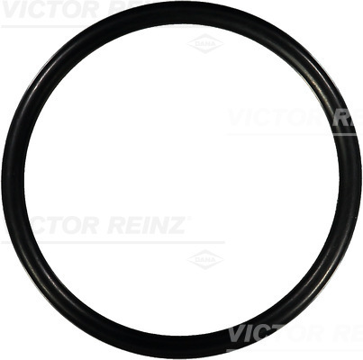 Afdichtring Reinz 40-76463-00