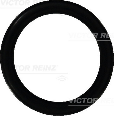 Afdichtring Reinz 40-76473-00